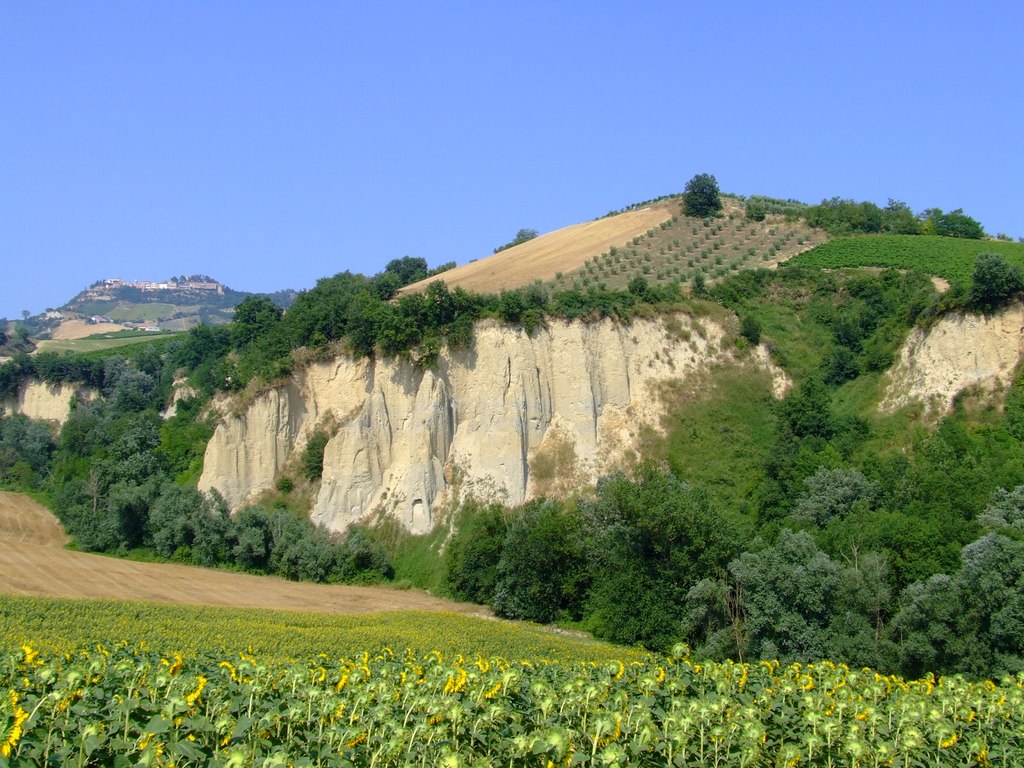 Le ripe...e i girasoli