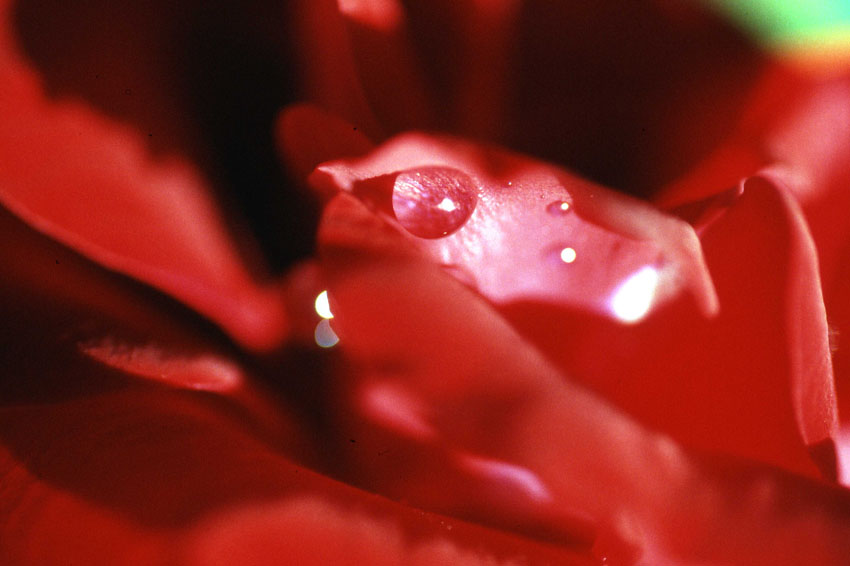 una goccia nel mare... rosso