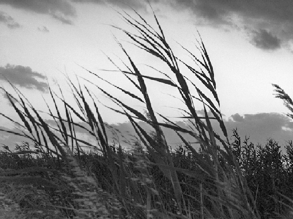Blow of Wind