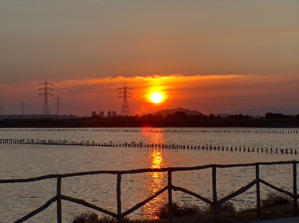 Saline