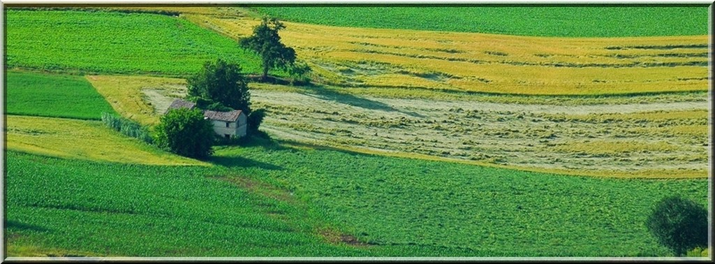 Campagna Marchigiana