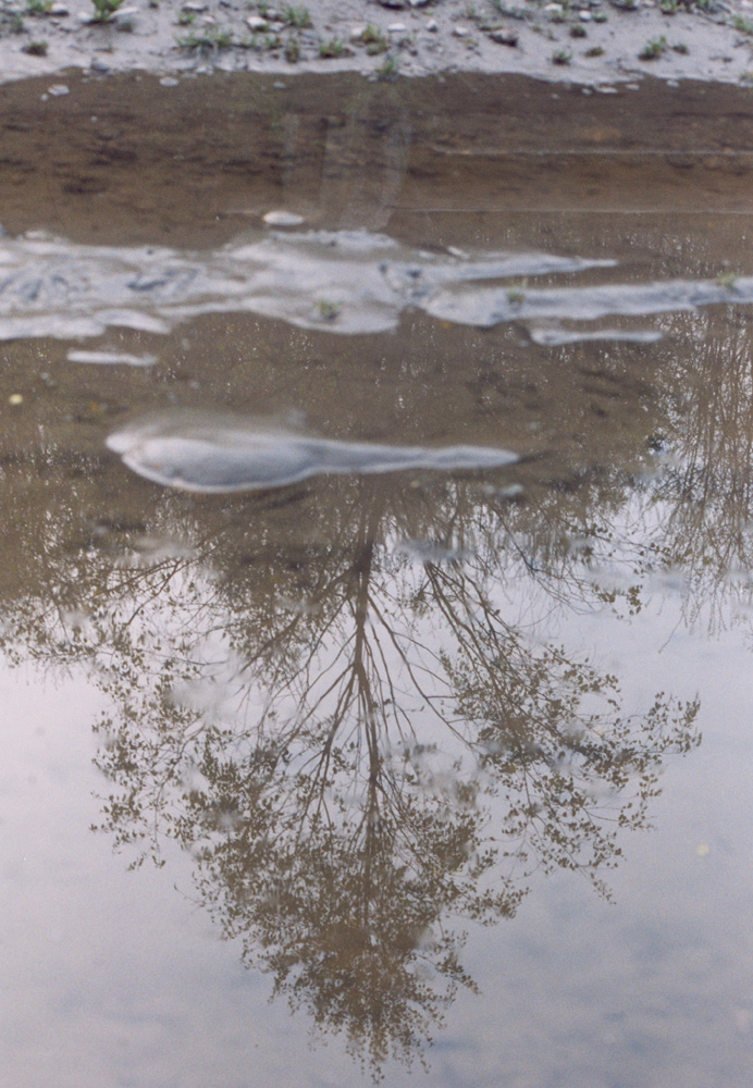 Riflesso