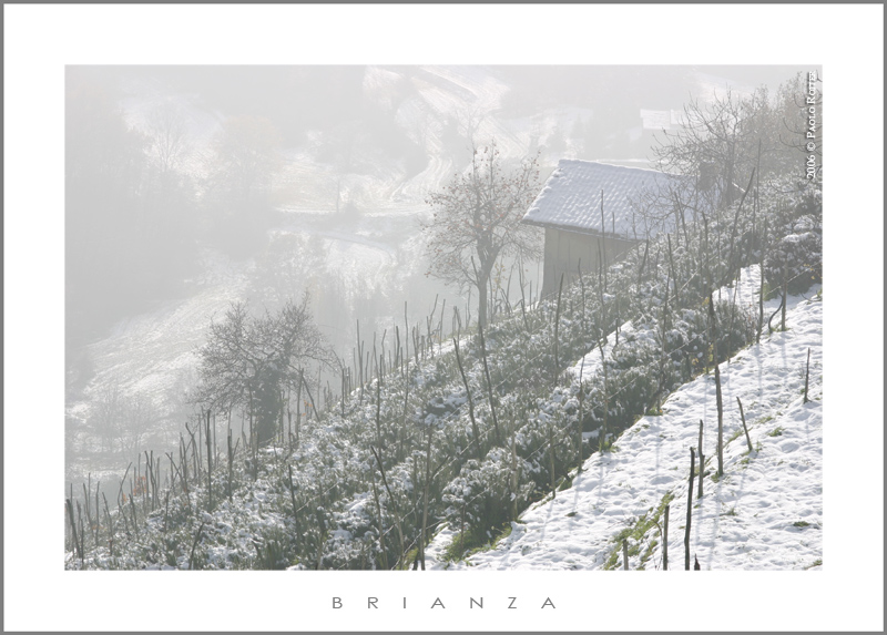 Brianza Inverno 1