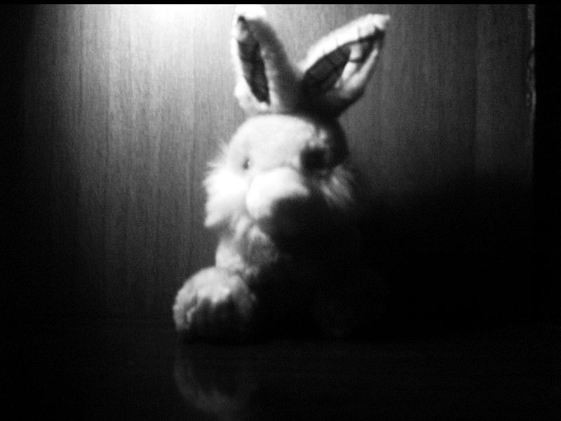 easterbunny