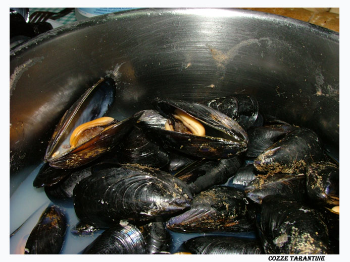 Cozze tarantine