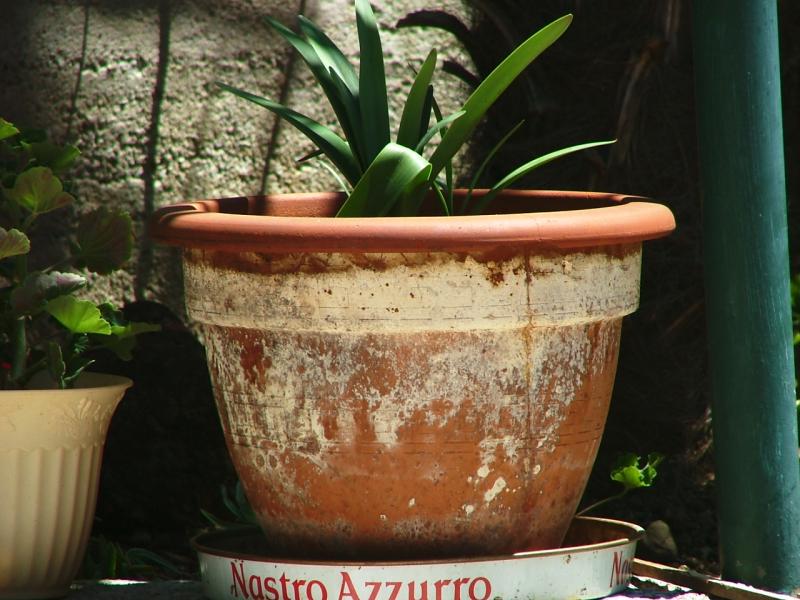 prova zoom