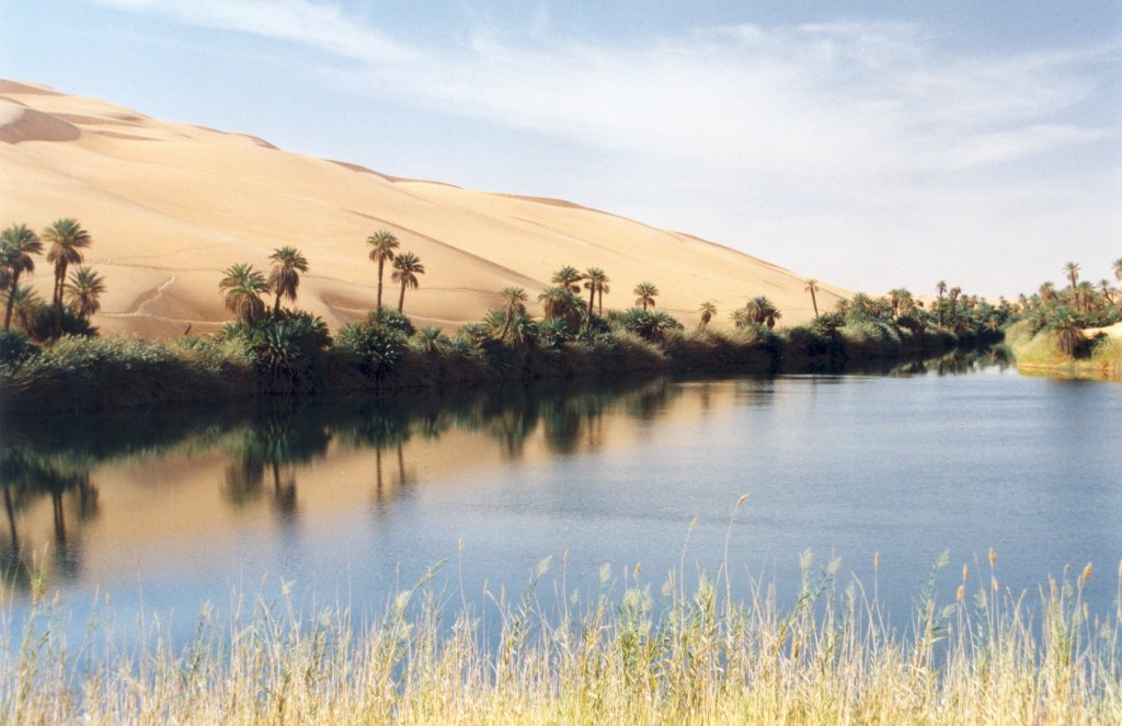 Libia - oasi nel deserto