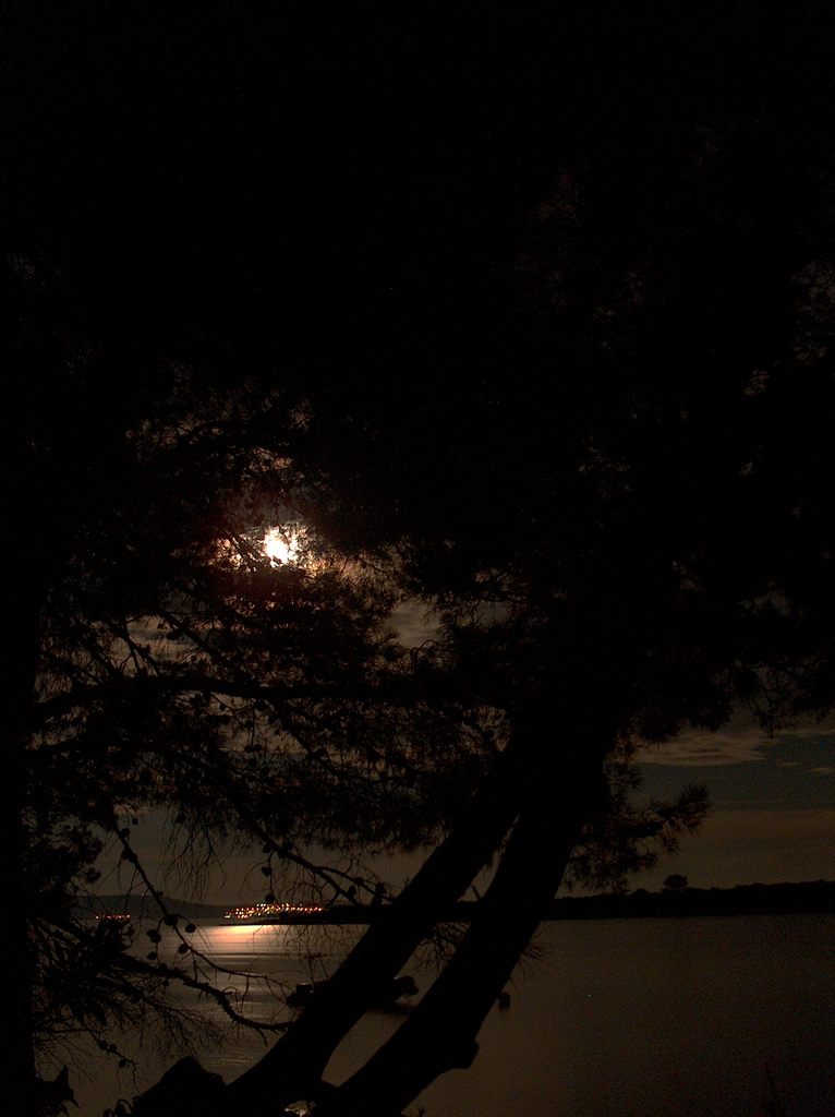 Notte sul mare