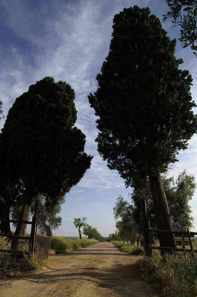 Paesaggio 2