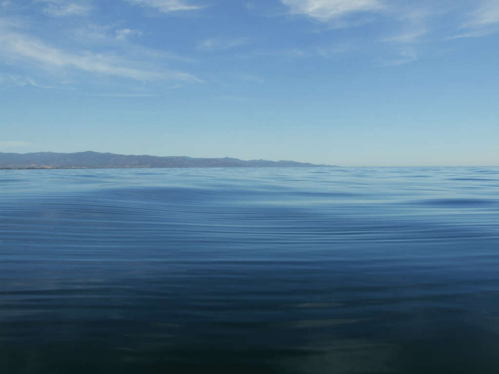 sea-macro