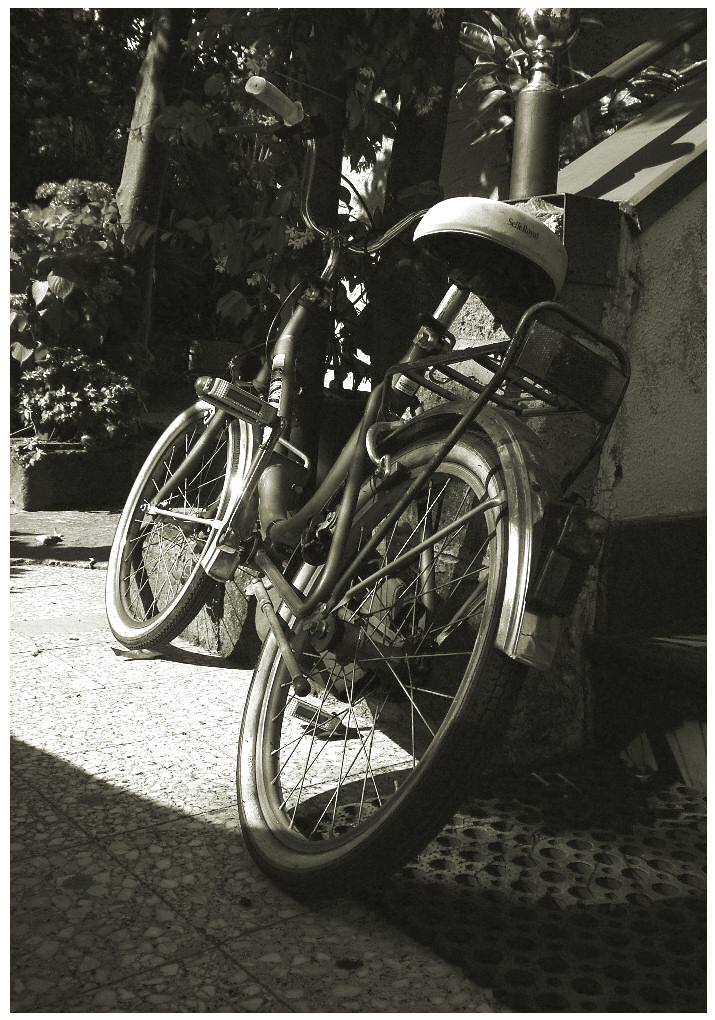Fernando's Bike