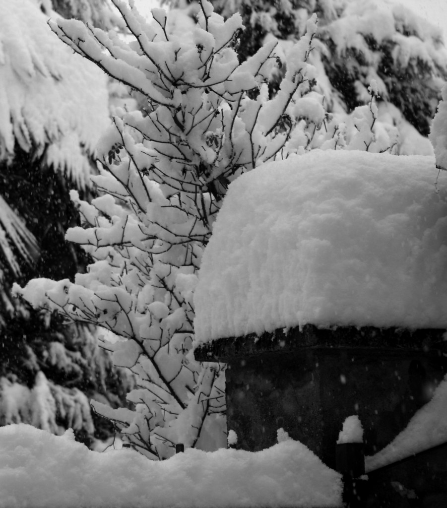 snow