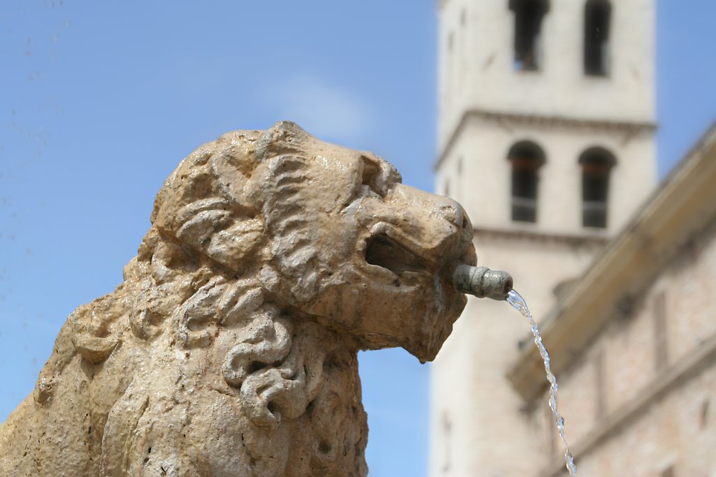Assisi