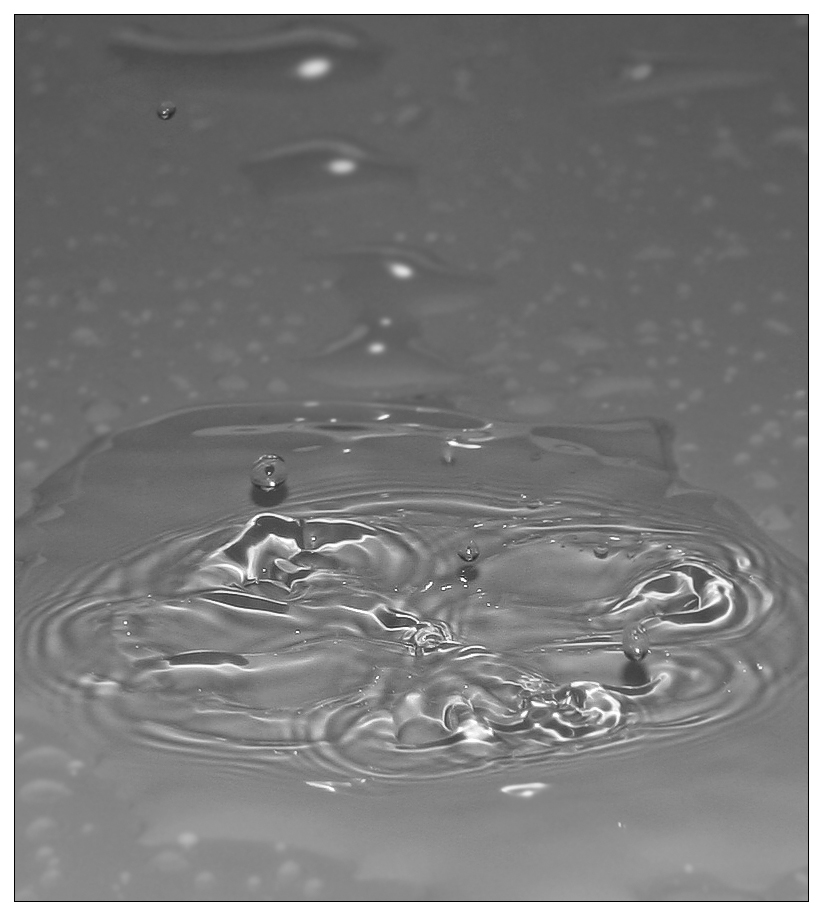 Liquid flower