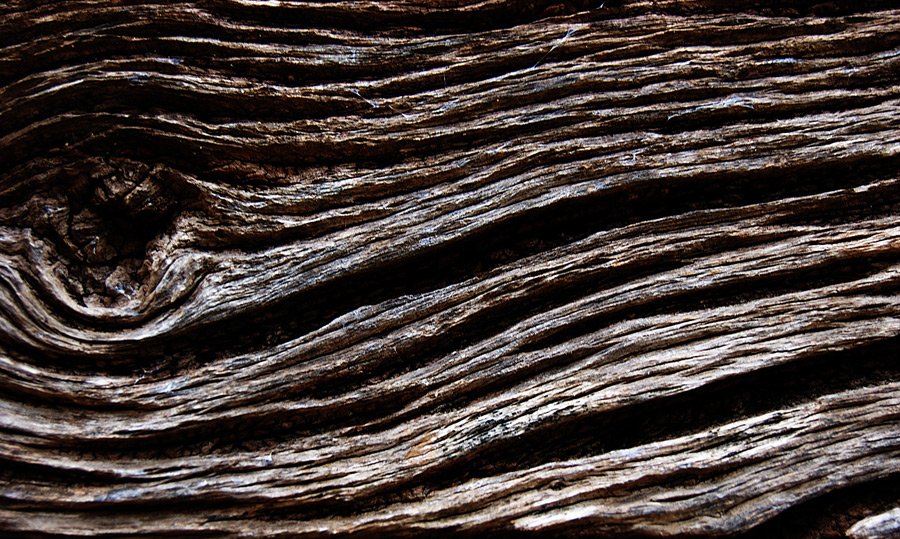 Legno