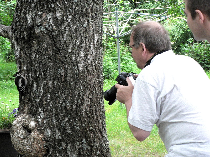 Fotografando un Picchio