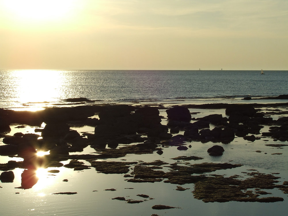 Livorno tramonto