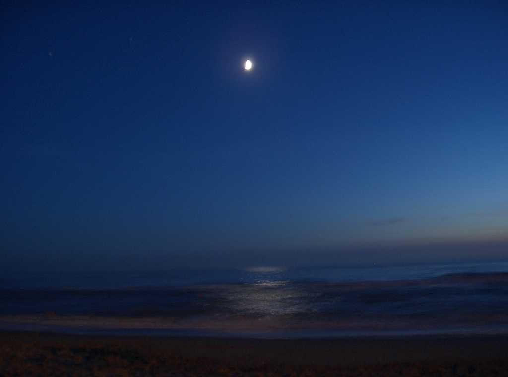 Man on the moon