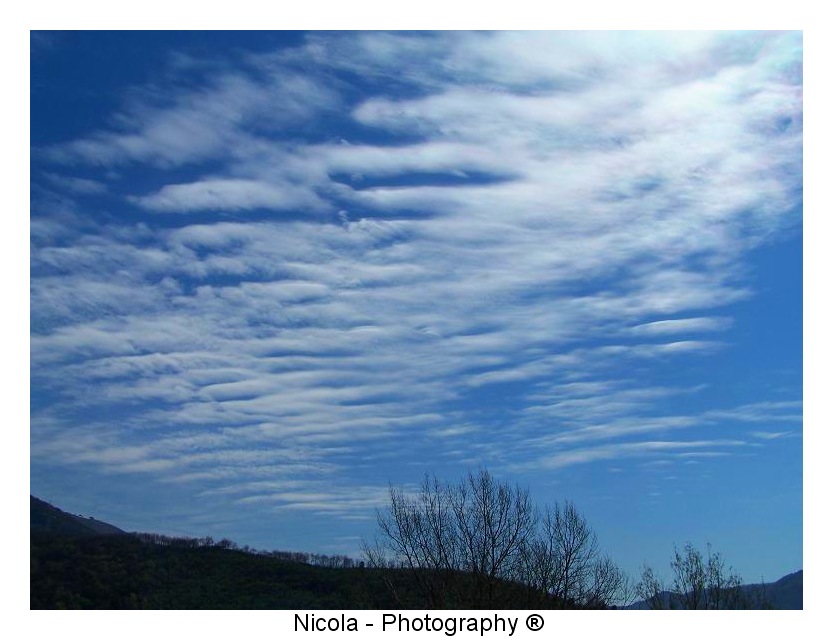The blue sky