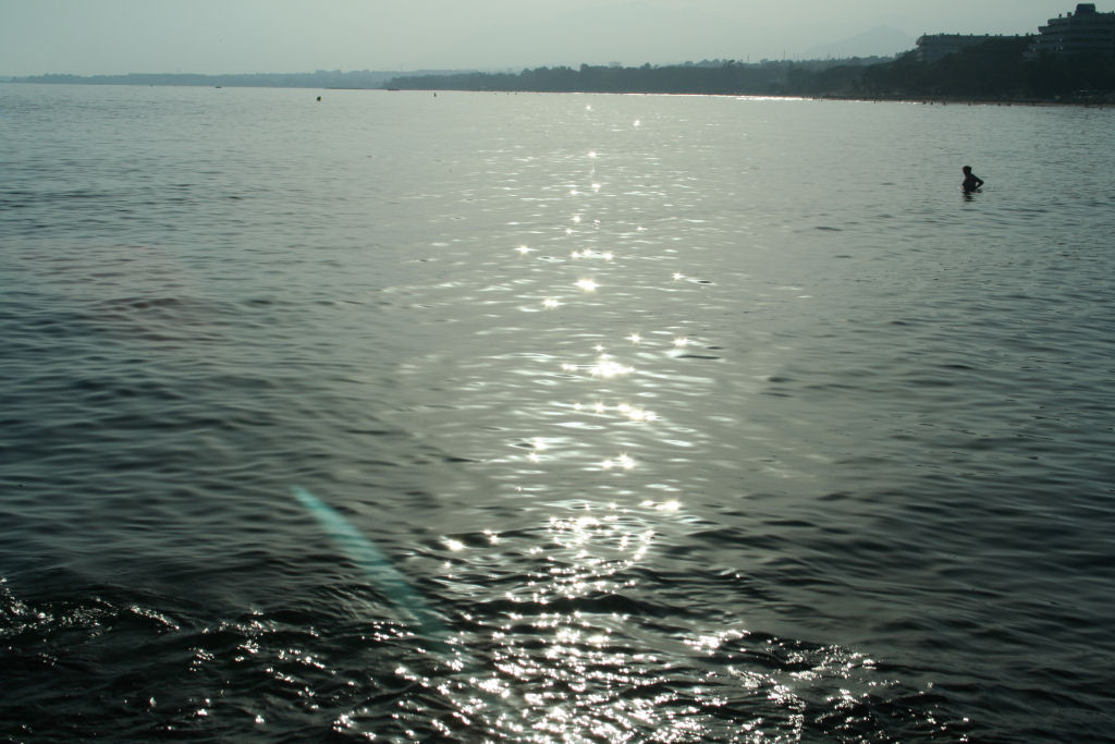 Mare