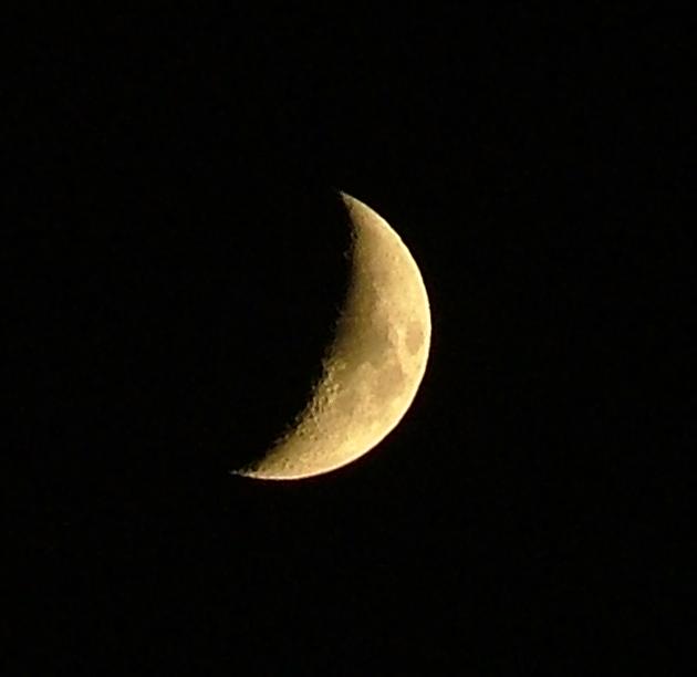 Luna 1