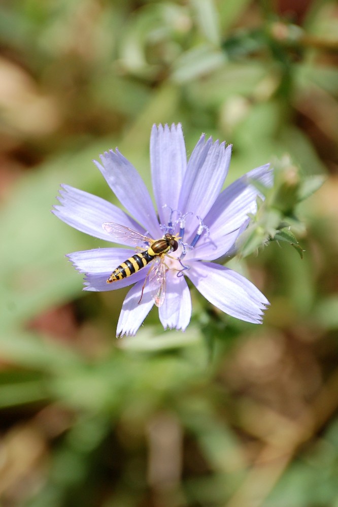 una delle prime foto con la nikon D50