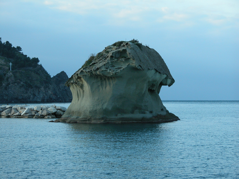 Fungo d'Ischia