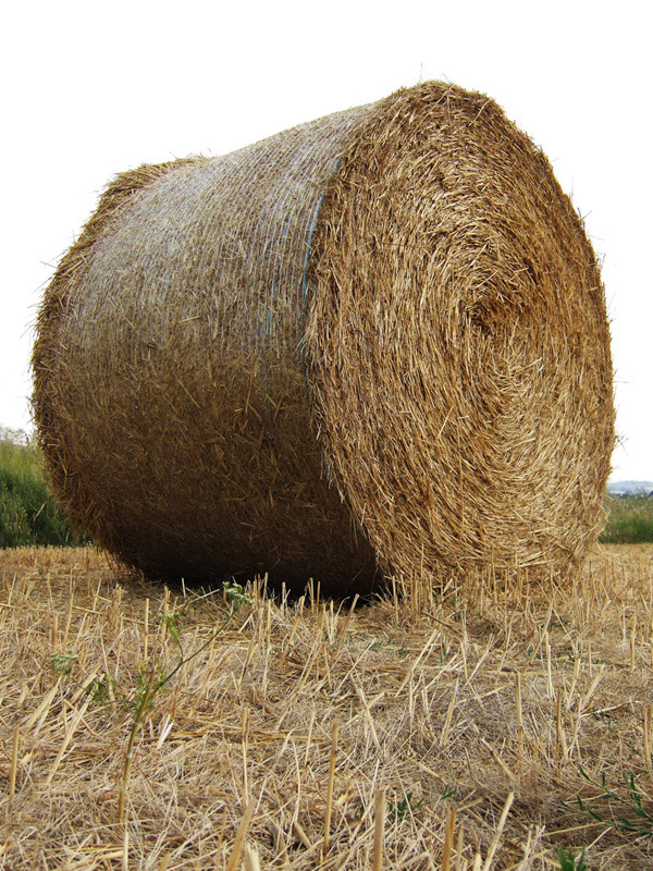 balla di fieno