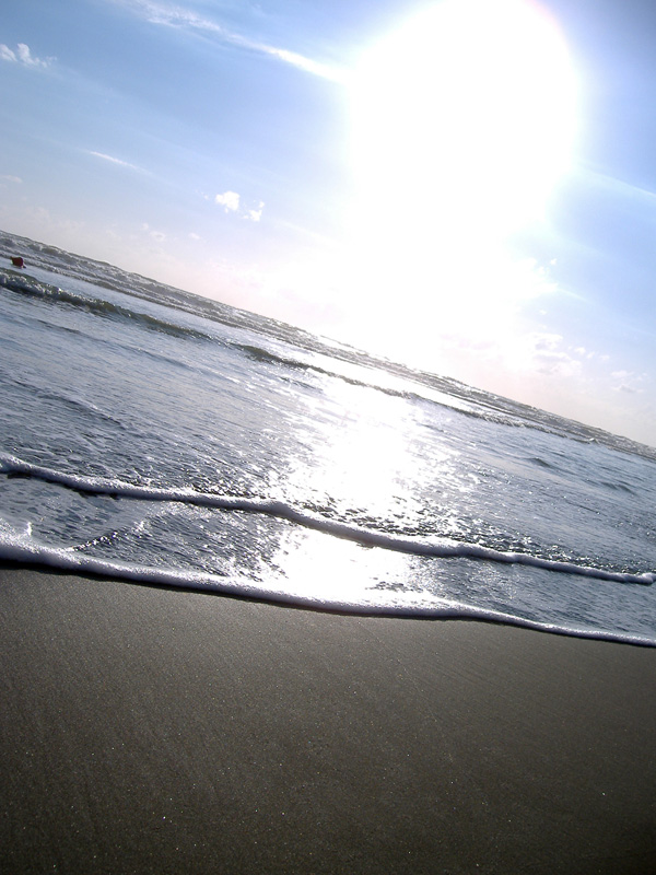 sole