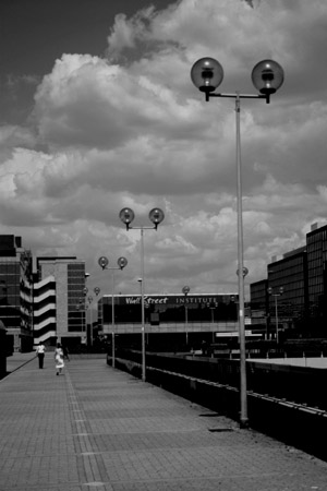 cinecitt2