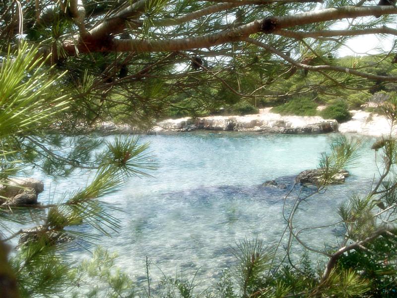 IL PARADISO..ALL'IMPROVVISO