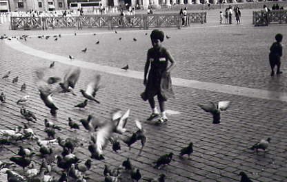 con i piccioni