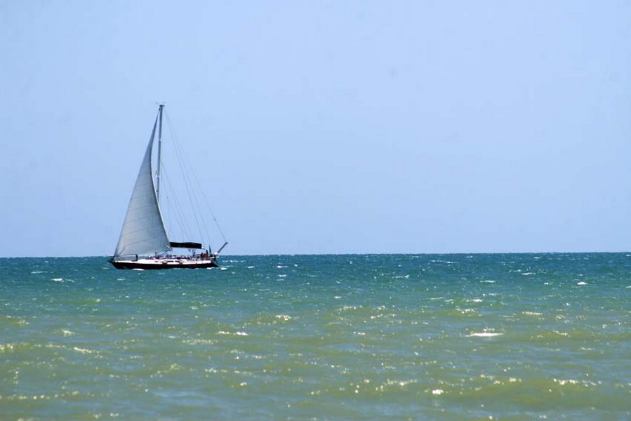 Barca a vela
