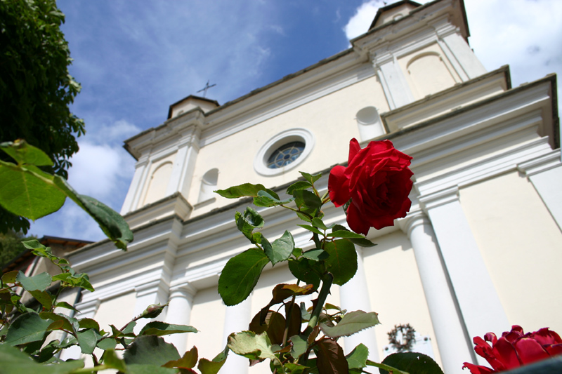 roses.jpg