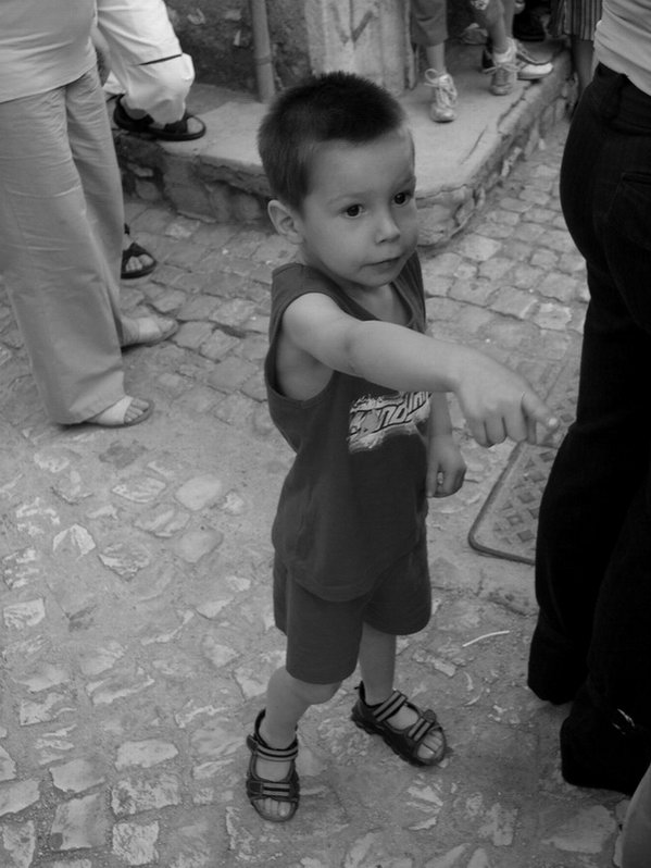 davide 800