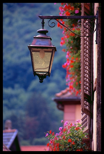 i colori dell'Alsazia (1)