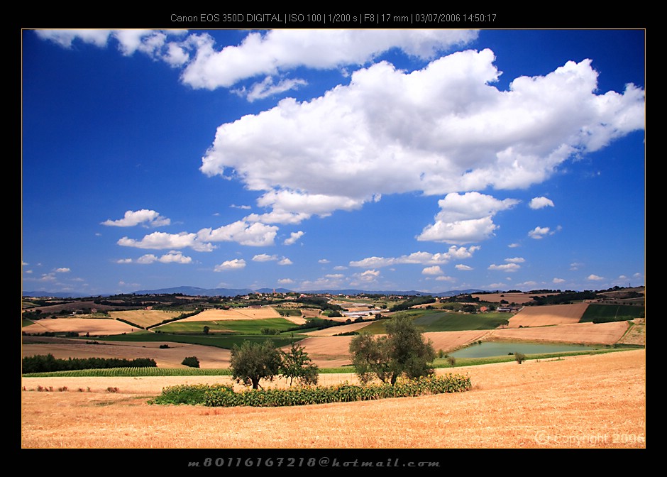 Terre Senesi