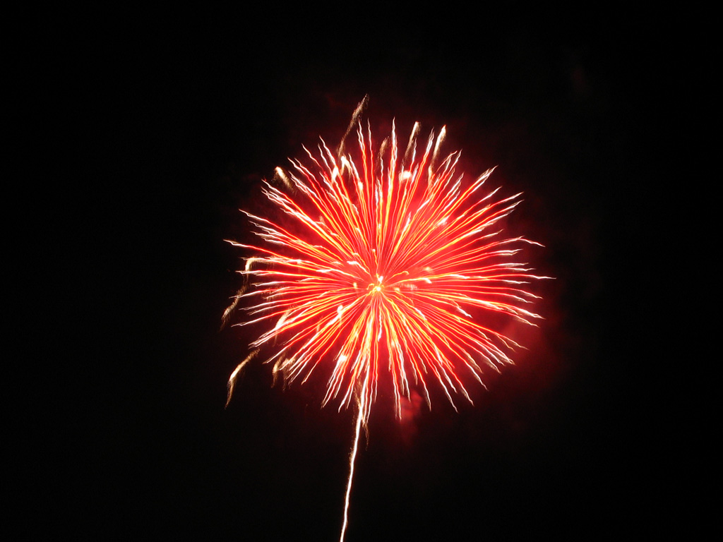 fiore di fuoco