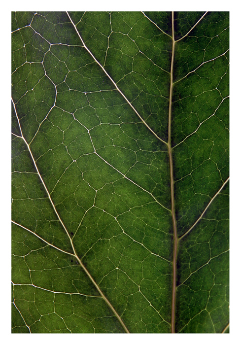 **Contest: Texture
