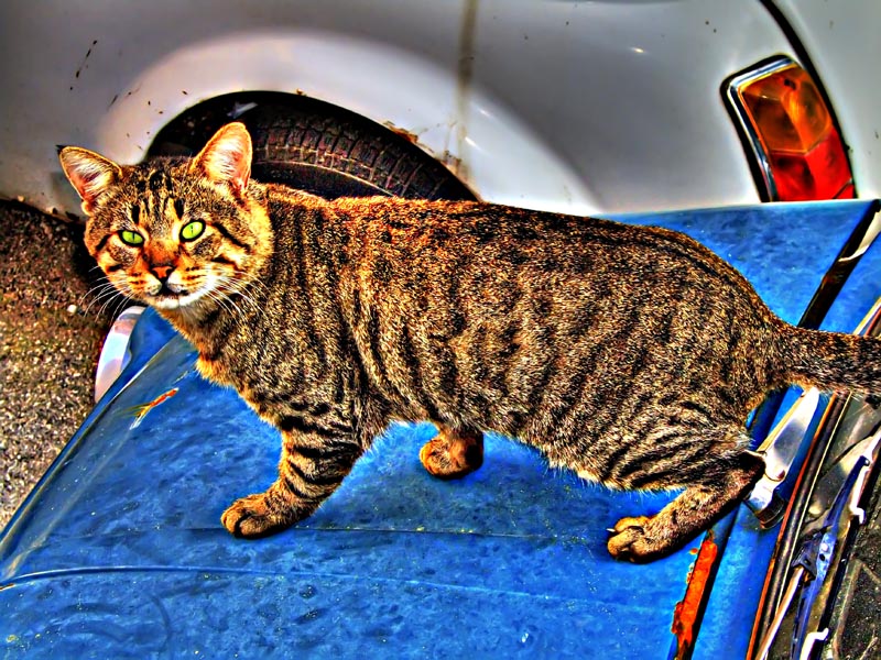 Prima Prova HDR