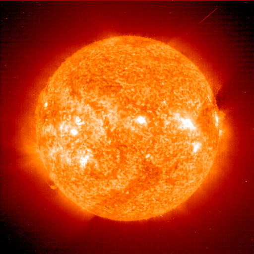 sole
