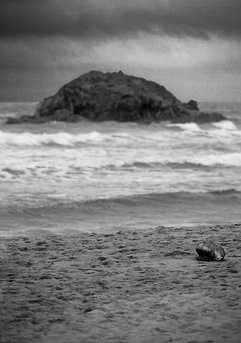 Spiaggia di Chia - Bianco e nero