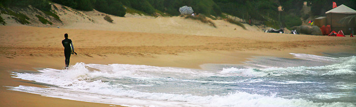 Surf1