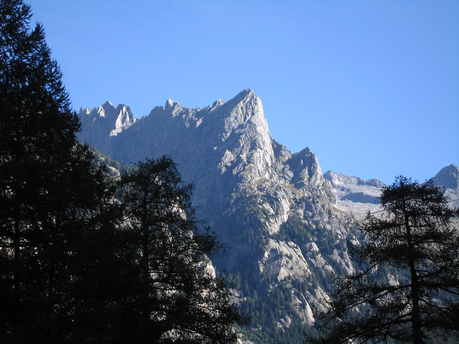 spicca (S70)