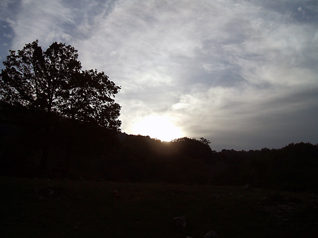 FUJI Finepix A500