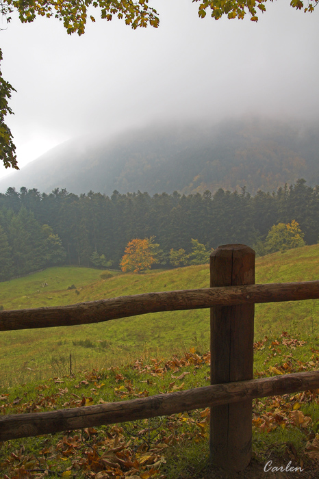 ...e oltre.... la nebbia