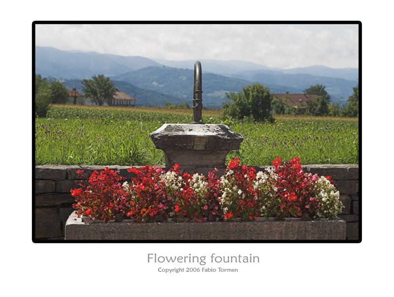 flowering fountain