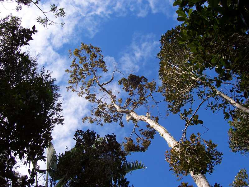 Madagascar
