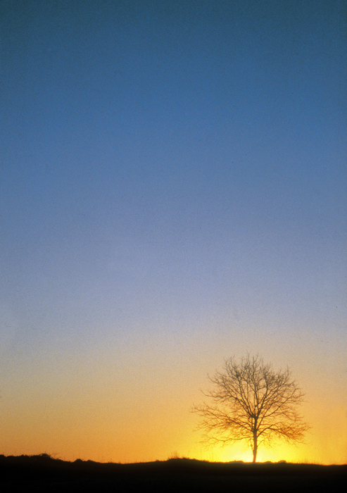 Finalmente il sole