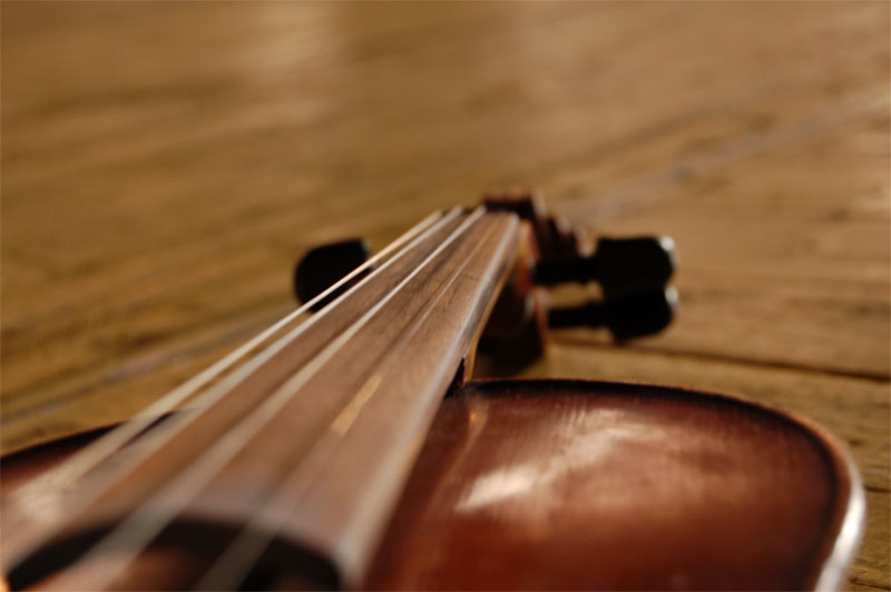 violin